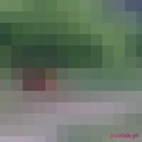 Mak78, Male, 48 years, Bełchatów