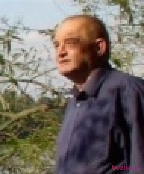zielaju, Male, 73 years, Kielce