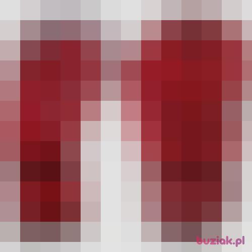 Andi11111, Male, 53 years, Opole