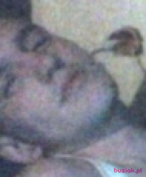 Olszakztr13, Mężczyzna, 33 lata, warmińsko-mazurskie