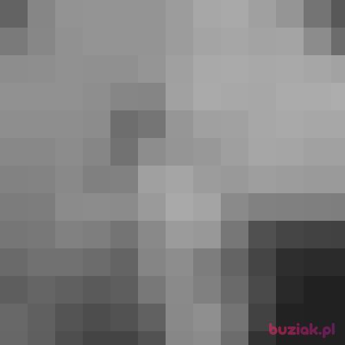 dejw37, Male, 39 years, Bielsko-Biała