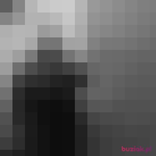 DawidDawidXx, Male, 34 years, Bydgoszcz