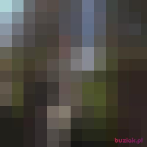 050, Male, 46 years, Bolesławiec