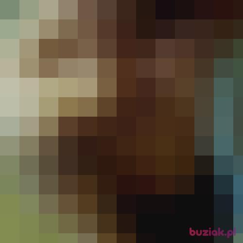 BadzSoba1989, Male, 37 years, Eindhoven