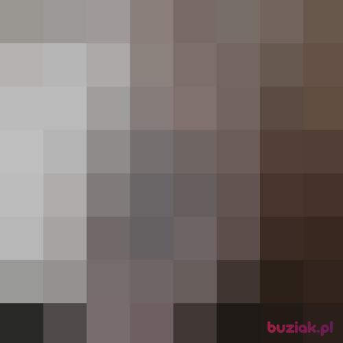 Madziulka10, Kobieta, 35 lat, Ciechocinek