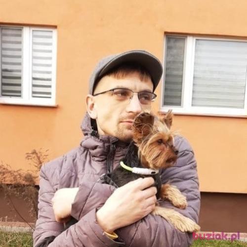 dexterek13, Male, 33 years, Hannover