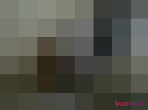 Leciej08, Male, 47 years, Wielka Brytania