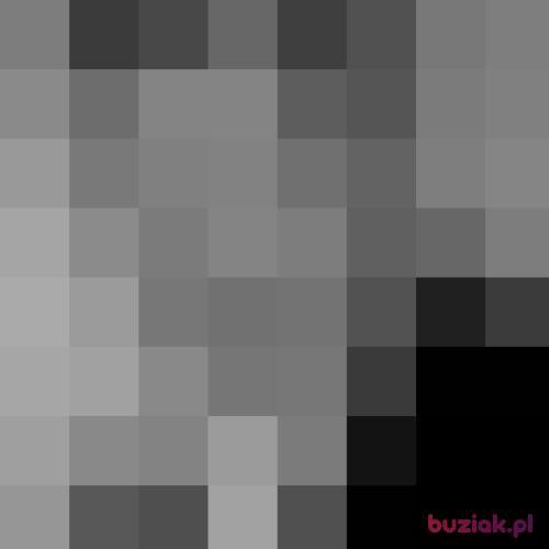 serw, Male, 43 years, śląskie