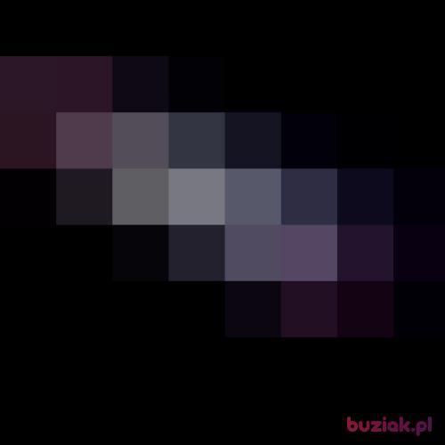 soulive, Mężczyzna, 41 lat, Włocławek