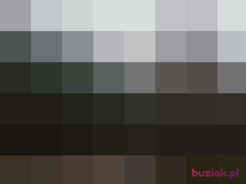 adamo4o4, Male, 46 years, Bytom