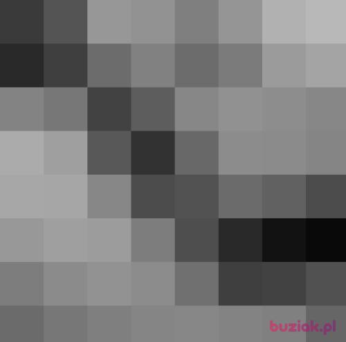 firelu, Female, 29 years, Bytom