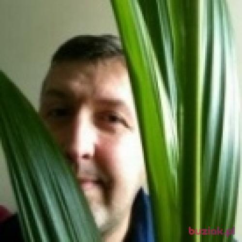 kszyhu1, Mężczyzna, 53 lata, Krapkowice