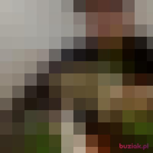 Kamileklux, Male, 33 years, Nowy Wiśnicz