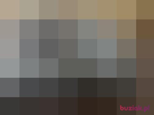 kruz-73, Male, 53 years, Bydgoszcz