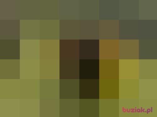 wstup, Male, 55 years, Gorzów Wielkopolski