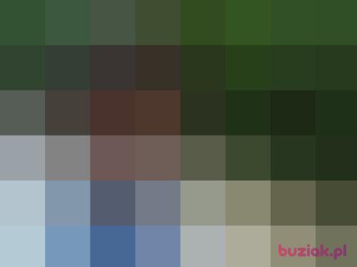 audaf, Male, 31 years, Bydgoszcz