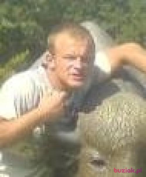 gondek2, Male, 38 years, Gogolin