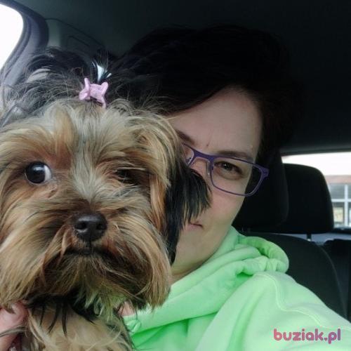 Kasiek999, Female, 53 years, Zgorzelec