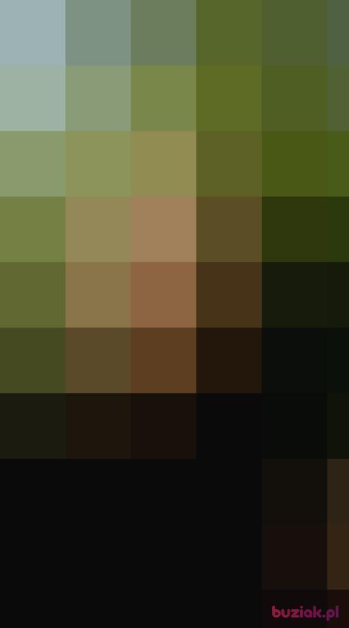 bartek47, Male, 56 years, Pyrzyce