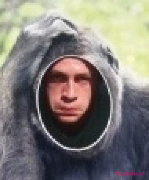 Reprezent, Mężczyzna, 35 lat, Kluczbork