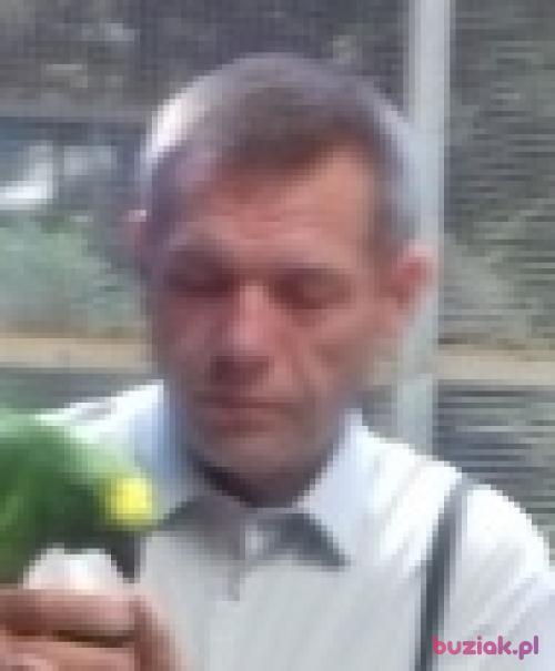 chomcio, Mężczyzna, 61 lat, Łódź