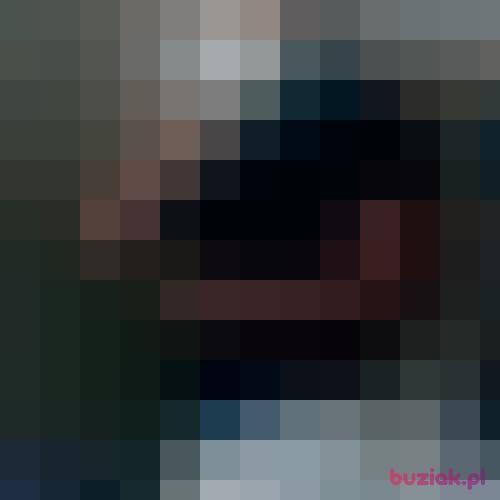 leirbag, Male, 34 years, Haarlem