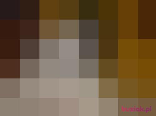 robin484, Male, 59 years, Chicago
