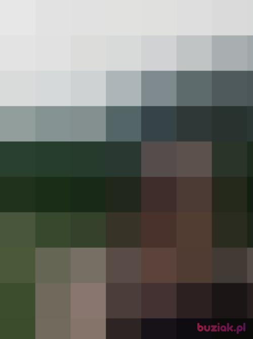 13016, Female, 62 years, Żory