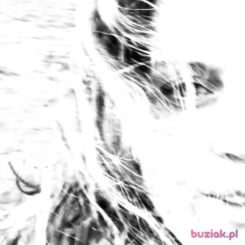 natalili, Female, 46 years, Exeter