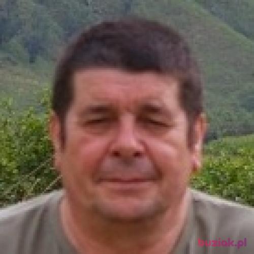 fog, Male, 66 years, Mansfield