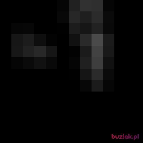 borsuk2438, Male, 27 years, Sandomierz