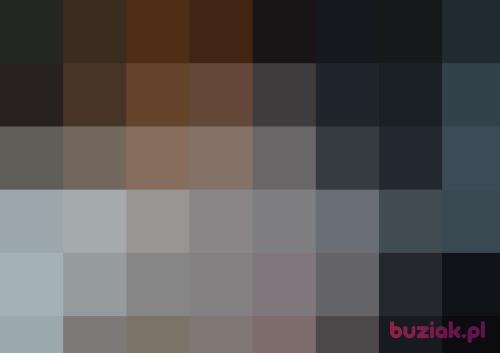 pitbrata, Male, 53 years, Bydgoszcz