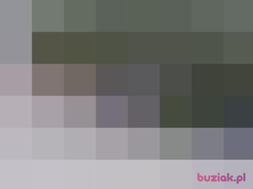 Chcialbym, Male, 56 years, Warszawa