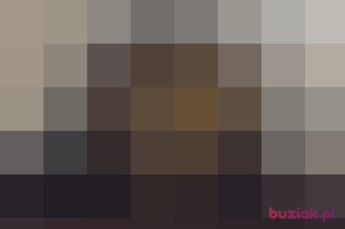 David97, Male, 29 years, Gniezno