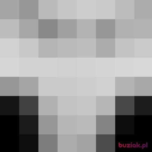 benq78, Male, 48 years, Sierpc