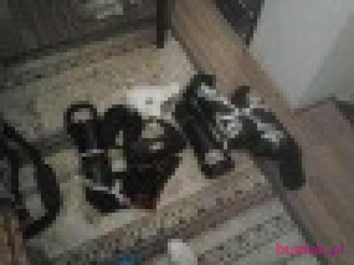 Kissslovely, Male, 36 years, Utrecht