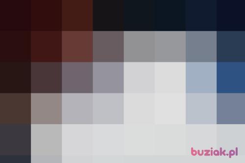 marcel2828, Mężczyzna, 37 lat, Toruń