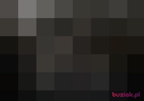 tedi2704, Male, 51 years, Lubin