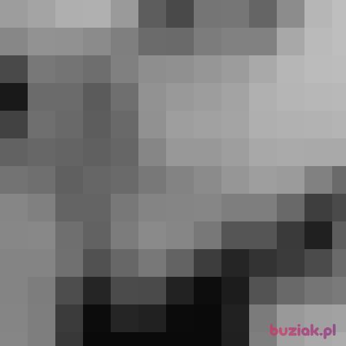 Boski988, Male, 28 years, Słupsk