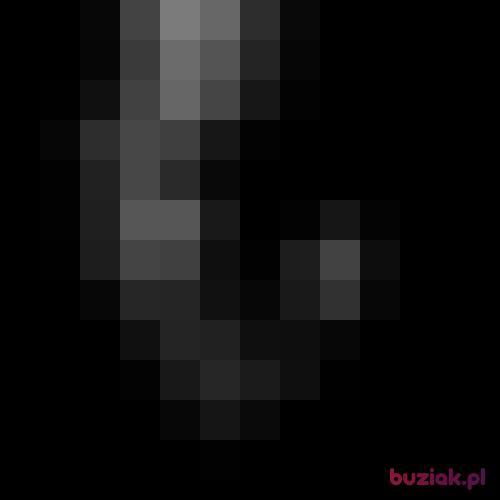 bigboss420, Male, 22 years, Września