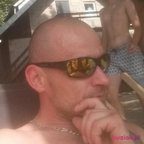 bat008, Male, 40 years, Opole