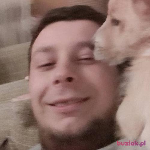 MrDomino, Male, 31 years, Bielsko-Biała