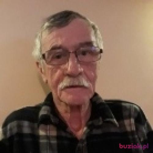 andrzej50z, Male, 76 years, Grodzisk Wielkopolski
