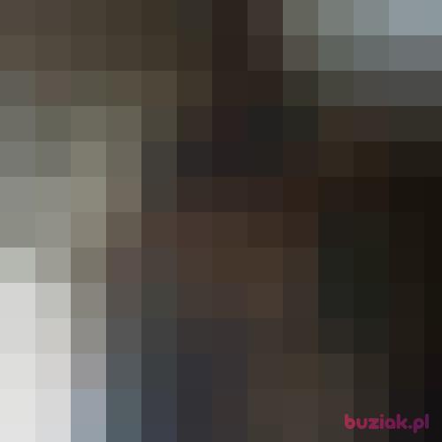 zyczliwyruchacz, Male, 29 years, Bytom