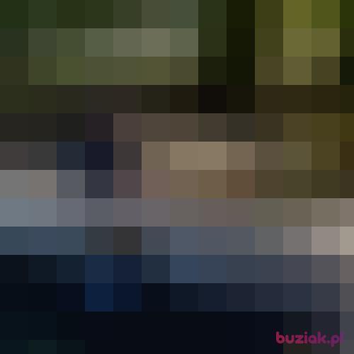 zen84, Male, 42 years, Gdańsk