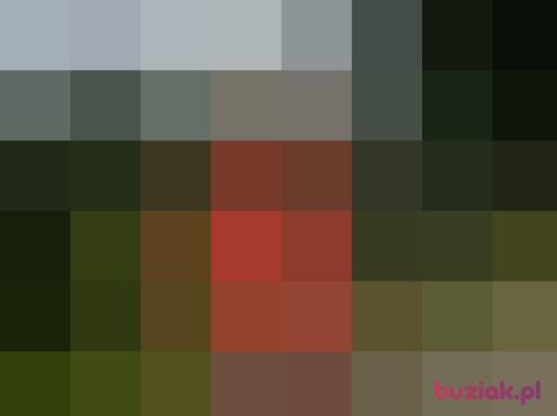 bodzio27, Male, 64 years, Cedynia