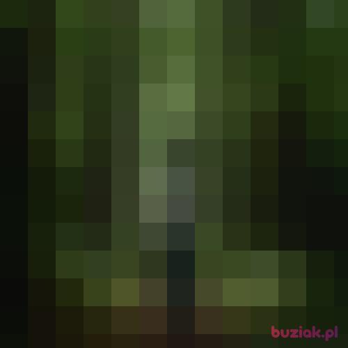poezjazycia, Female, 37 years, Bydgoszcz