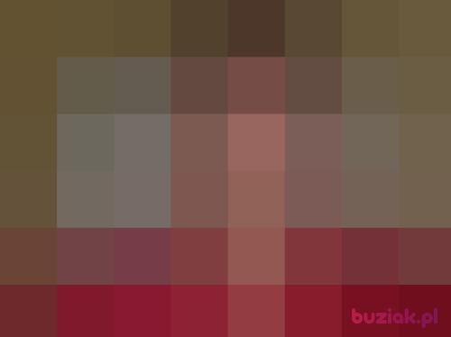dawidlsc, Male, 35 years, Racibórz