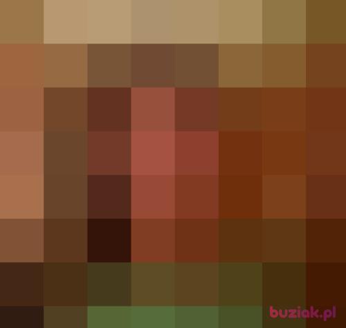 lukasz2772, Male, 41 years, Włocławek