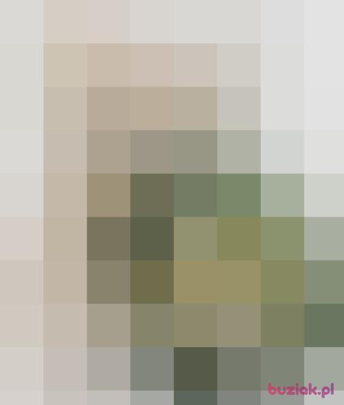 Niki4x, Female, 49 years, Zabrze